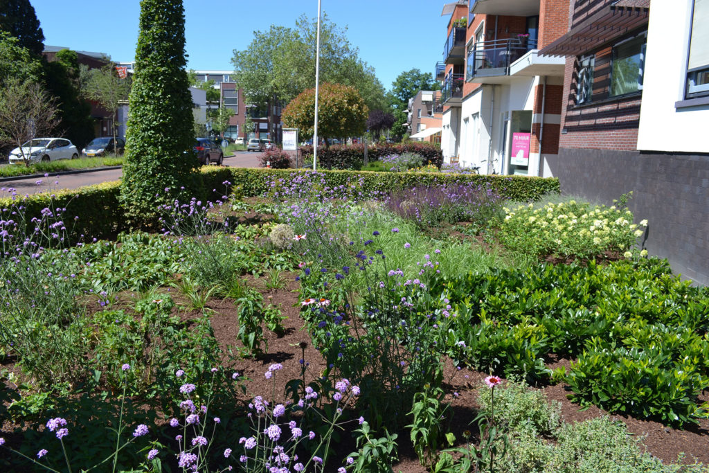 Aanplant voortuin appartementen complex Nijverdal door Fontein Tuinen