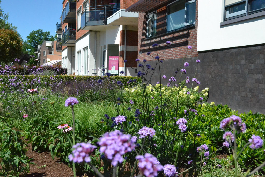 Aanplant voortuin appartementen complex Nijverdal door Fontein Tuinen